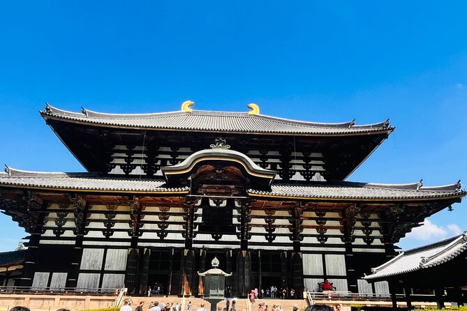 Kyoto Osaka Kyoto and Nara Customized Private Guided Tour - Highlights of the Tour