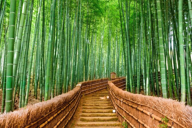 Kyoto Osaka Kyoto and Nara Customized Private Guided Tour - Discovering Nara
