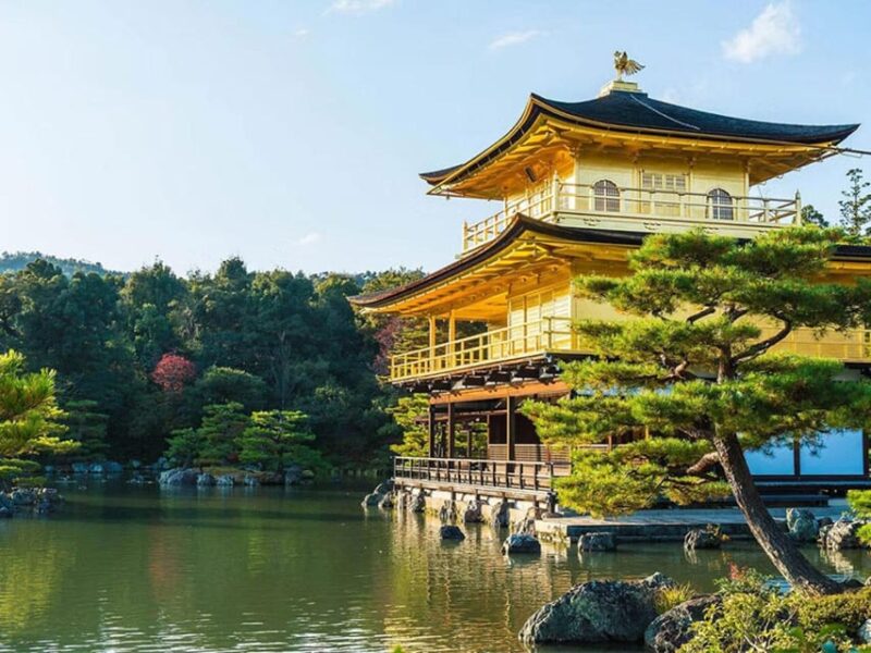 Kyoto/Osaka: Kyoto and Nara Sites & History Day Trip - Key Points