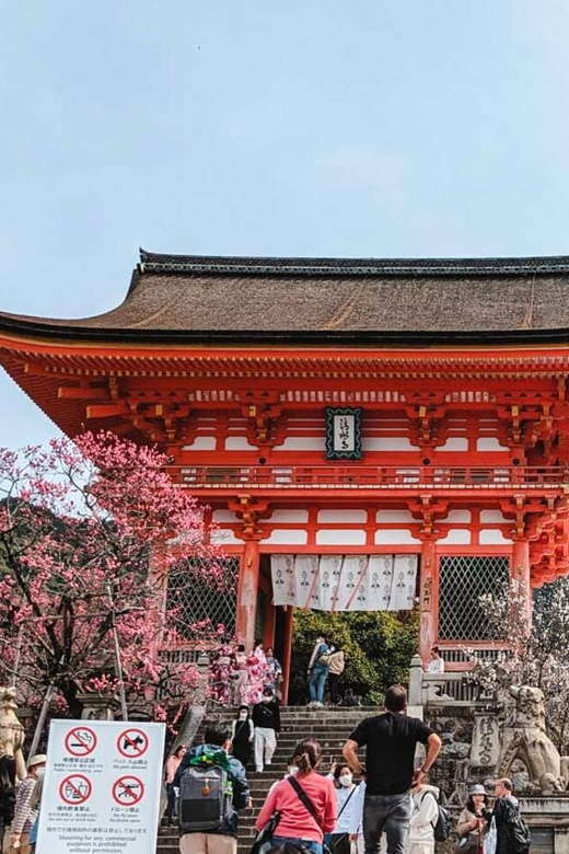 Kyoto/Osaka: Kyoto and Nara Sites & History Day Trip - Itinerary Highlights