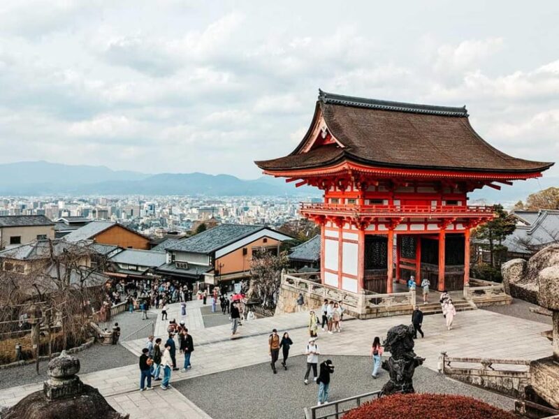 Kyoto/Osaka: Kyoto and Nara Sites & History Day Trip - Tour Inclusions and Exclusions