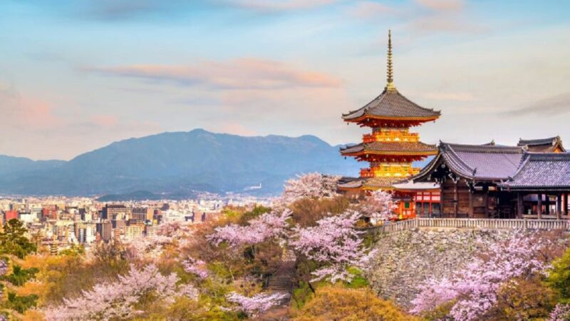 Kyoto/Osaka: Kyoto and Nara UNESCO Sites & History Day Trip - Visiting Nara Park and Todaiji Temple