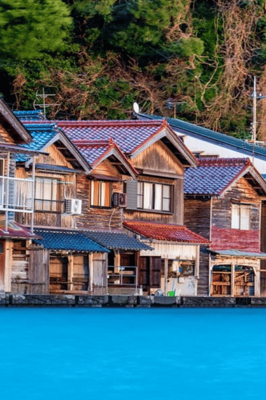 Kyoto/Osaka: Kyoto Coast, Amanohashidate & Ine Bay Day Trip - Key Points