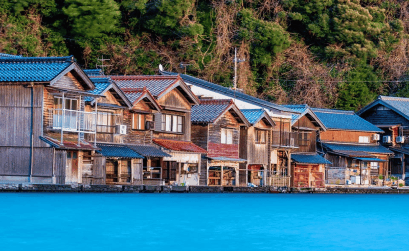 Kyoto/Osaka: Kyoto Coast, Amanohashidate & Ine Bay Day Trip - Itinerary Highlights
