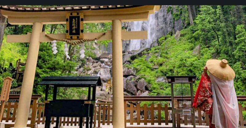 Kyoto/Osaka: Mount Koya and Wakayama Private Day Trip - Key Points