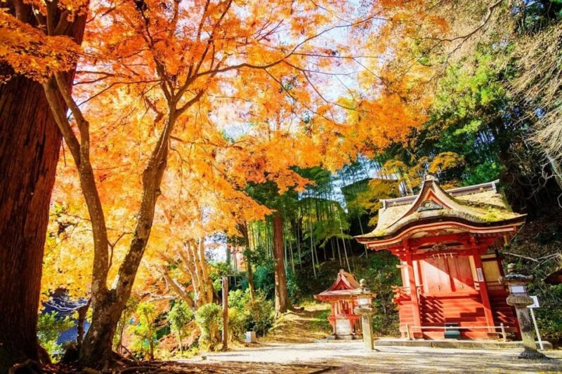 Kyoto/Osaka: Nara Customizable Self-Guided Tour With Driver - Inclusions and Fees