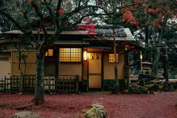 Kyoto/Osaka: Nara Customizable Self-Guided Tour With Driver - Exploring Nara Park