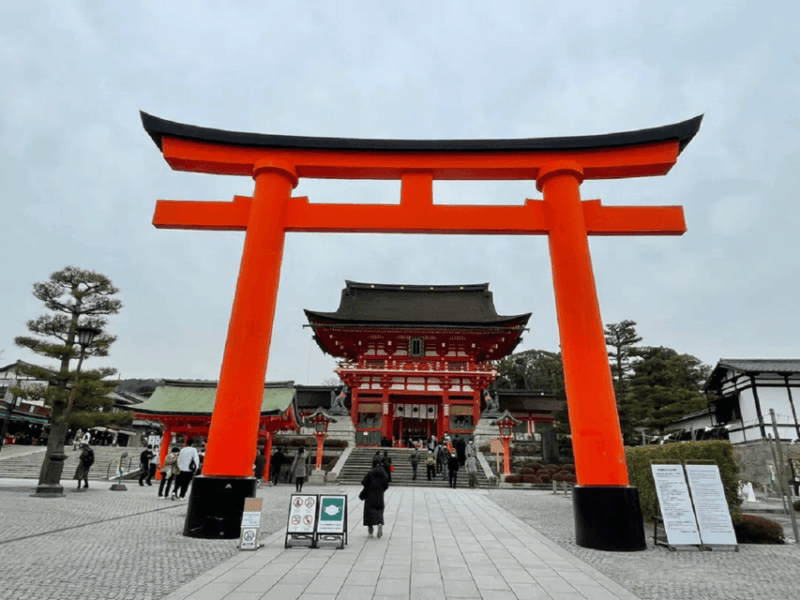 Kyoto/Osaka: Nara, Fushimi Inari, Arashiyama Full-Day Tour - Nara Park