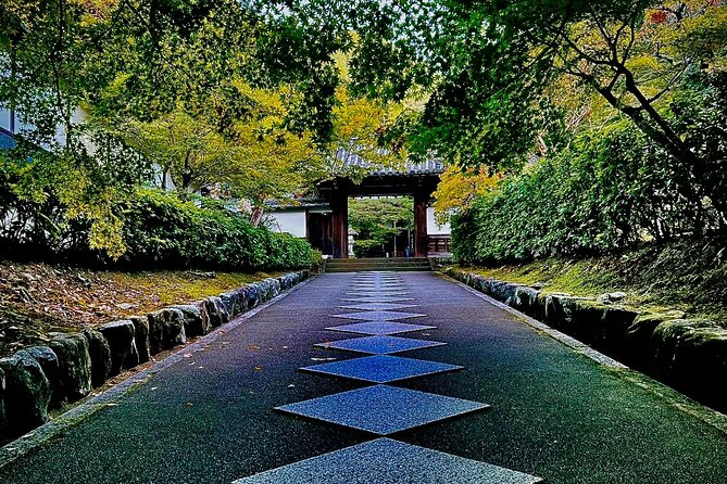 Kyoto Osaka Nara Private Custom Tour by Car - Accessibility and Participation