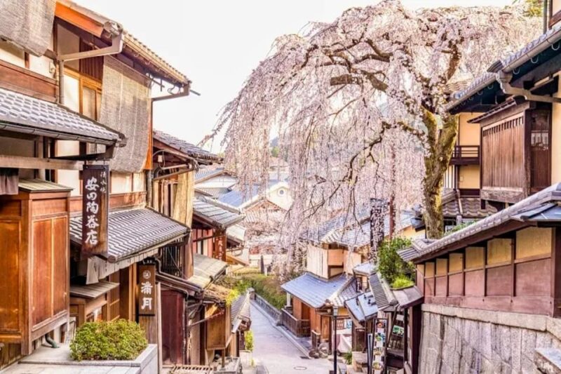 KYOTO: OSAKA/NARA/Private Customized Tour With English Guide - Kyoto Itinerary Options