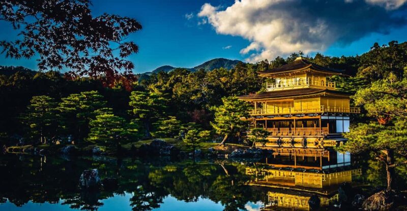 KYOTO: OSAKA/NARA/Private Customized Tour With English Guide - Nara Itinerary Options