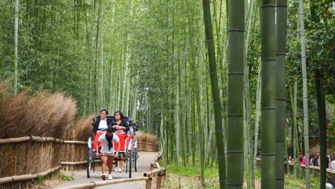 KYOTO: OSAKA/NARA/Private Customized Tour With English Guide - Communication and Support