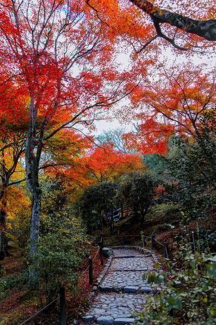 Kyoto/Osaka: Sanzen-in and Arashiyama Day Trip - Key Points
