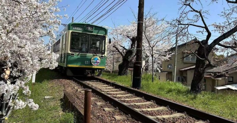 Kyoto/Osaka: Sanzen-in and Arashiyama Day Trip - Starting and Ending Locations