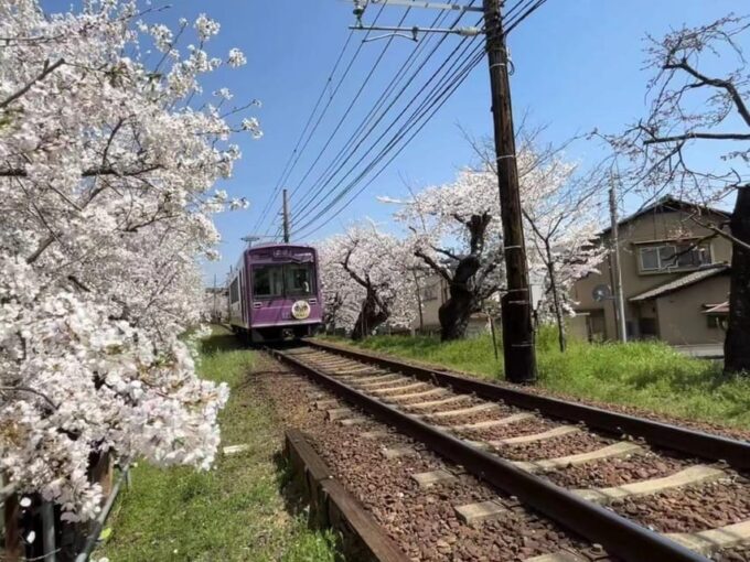 Kyoto/Osaka: Sanzen-in and Arashiyama Day Trip - Detailed Itinerary