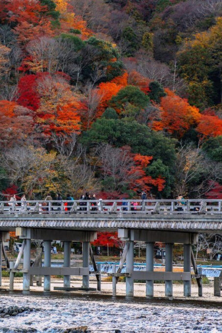 Kyoto/Osaka: Sanzen-in and Arashiyama Day Trip - Tips for Travelers