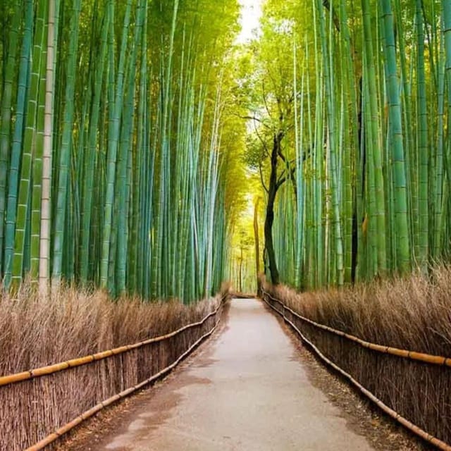 Kyoto/Osaka: Sanzen-in and Arashiyama Day Trip - Recommended Route