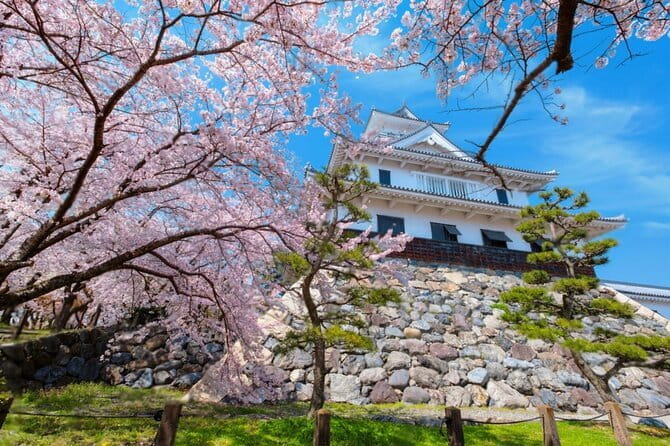 Kyoto Osaka to Lake Biwa Private Day Tour - Key Points