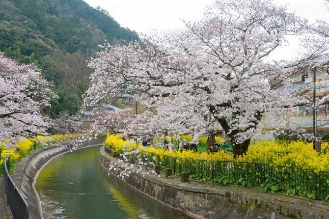 Kyoto Osaka to Lake Biwa Private Day Tour - Highlights of the Itinerary