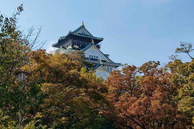 Kyoto Osaka to Lake Biwa Private Day Tour - Accessibility and Accommodations