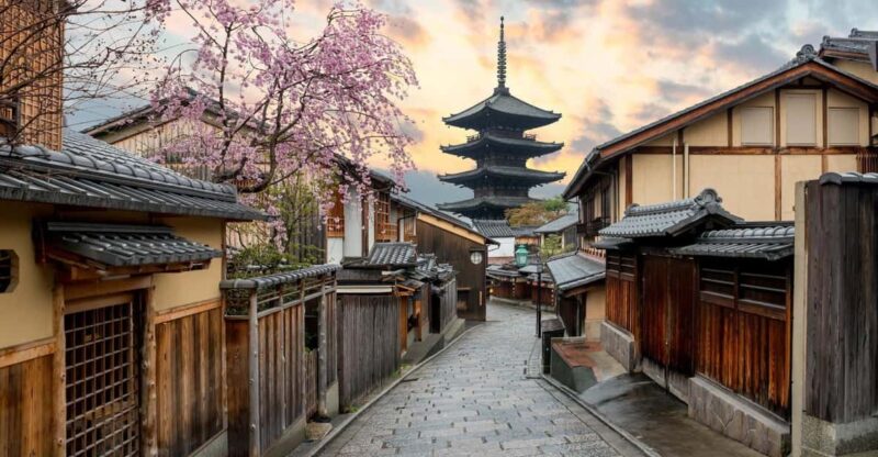 Kyoto/Osaka:Kyoto And Nara Customized Private Guided Tour - Customer Experience