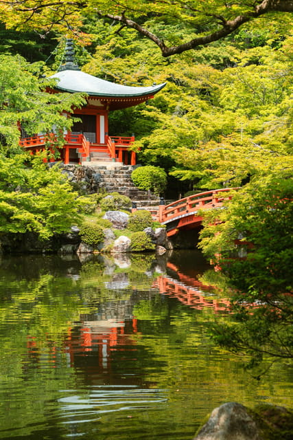 Kyoto/Osaka:Kyoto And Nara Customized Private Guided Tour - Traveler Testimonials