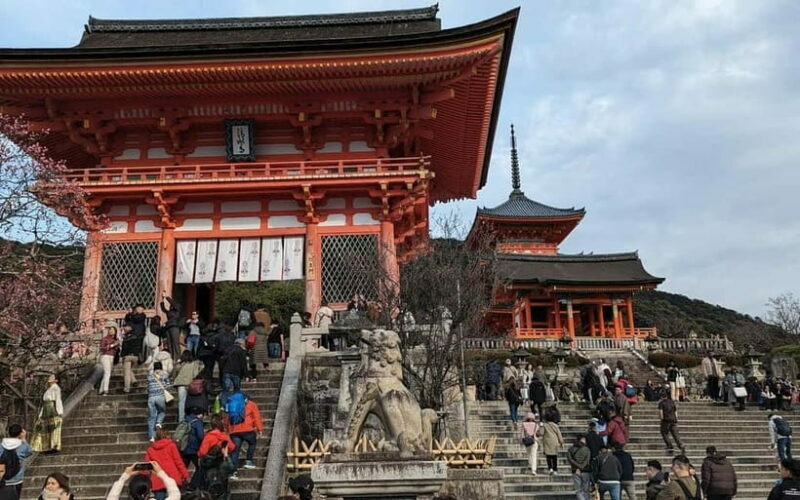 Kyoto: Personalize, private tour (3h, 5h, 8h) [W/Car Option] - An In-Depth Look at the Tour Experience