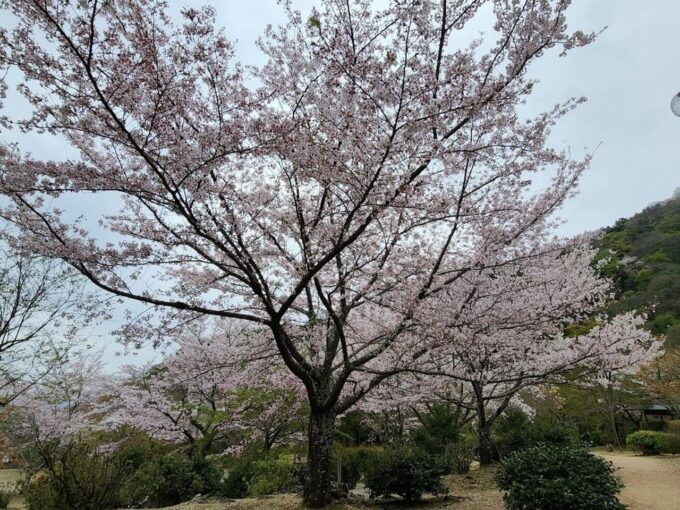 Kyoto Personalized Private Tour With Pick up - FAQ