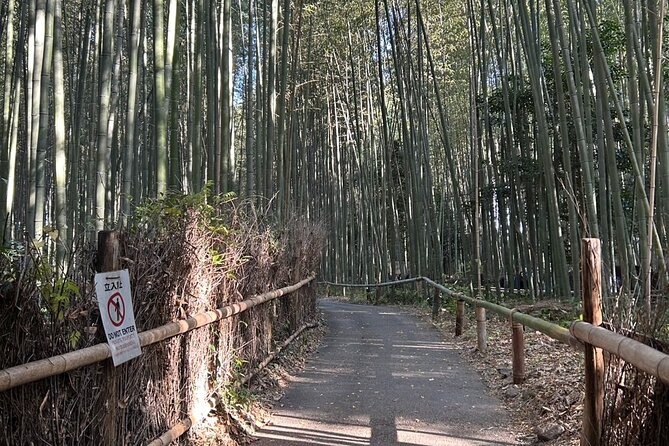 Kyoto Popular Tour : Learn Japanese Philosophy From Kyoto - Learning Japanese Philosophy