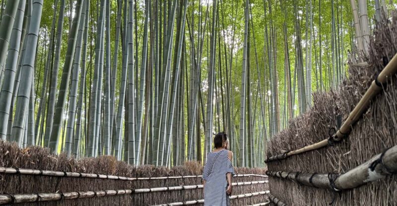 Kyoto: Private 4-Hour Tour of Arashiyama - Avoid the Crowds - Itinerary Highlights