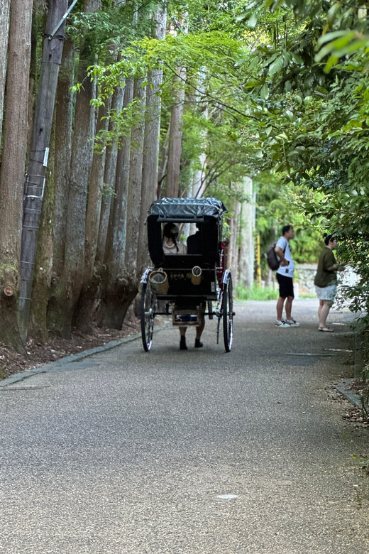 Kyoto: Private 4-Hour Tour of Arashiyama - Avoid the Crowds - Tour Features
