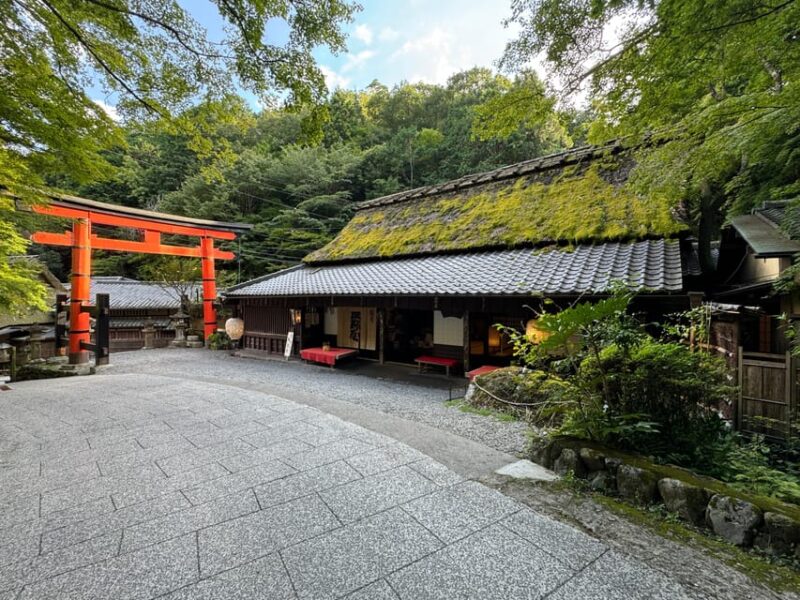 Kyoto: Private 4-Hour Tour of Arashiyama - Avoid the Crowds - Important Information