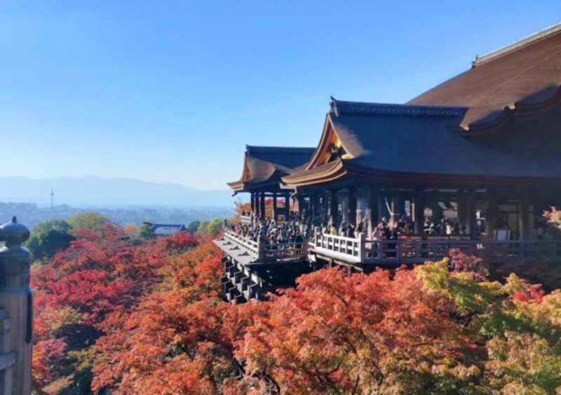 Kyoto: Private and Customized Tour (Walking/Public Transportation) - Pickup and Guide Information