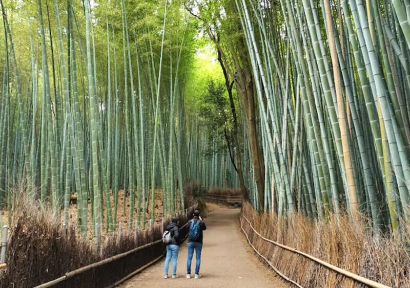 Kyoto: Private and Customized Tour (Walking/Public Transportation) - Kinkakuji Temple