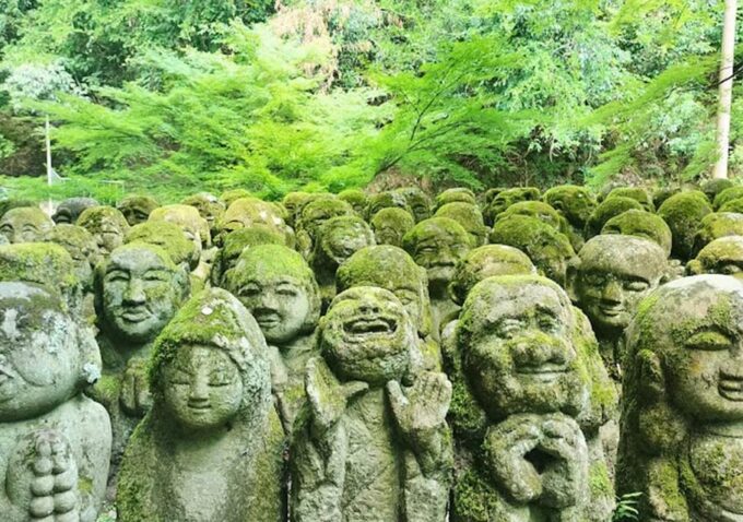 Kyoto: Private and Customized Tour (Walking/Public Transportation) - Important Information and Recommendations
