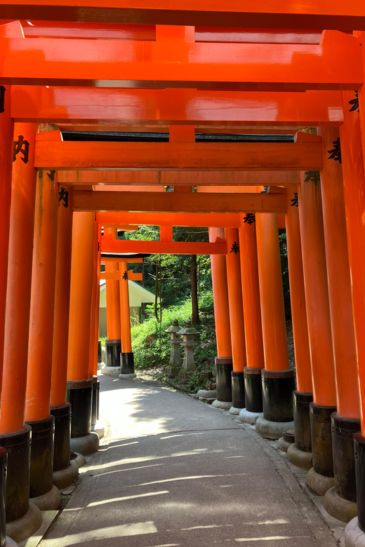 Kyoto: Private Car Tour - Fushimi Inari & Bamboo Grove - Exploring Fushimi Inari Taisha