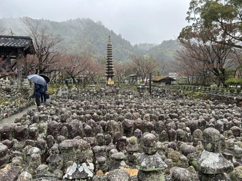 Kyoto Private Car Tour With Japanese&Local Guide - Itinerary Highlights