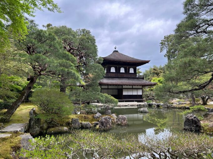 Kyoto Private Car Tour With Japanese&Local Guide - Logistical Considerations