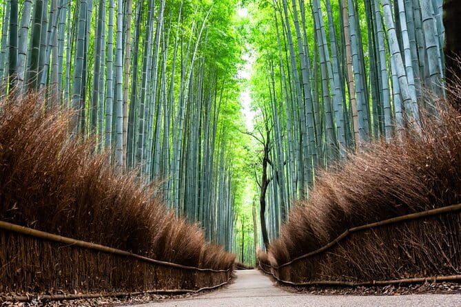 Kyoto: Private City Highlights Tour by Car - Pricing and Cancellation