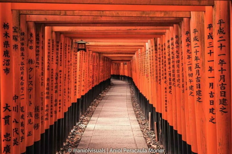 Kyoto: Private Customizable Day Tour with Guide and Vehicle - Who Should Consider This Tour?