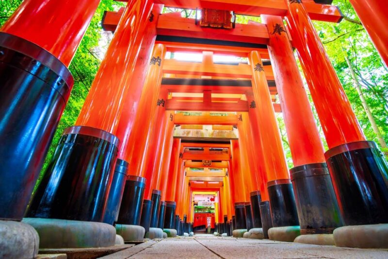Kyoto: Private Customizable Day Trip by Car - Tailored Itinerary