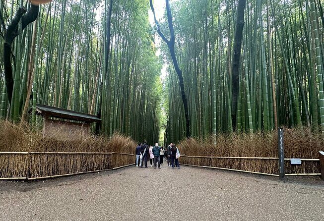 Kyoto Private Customizable Day Trip With English chauffeur - Introduction