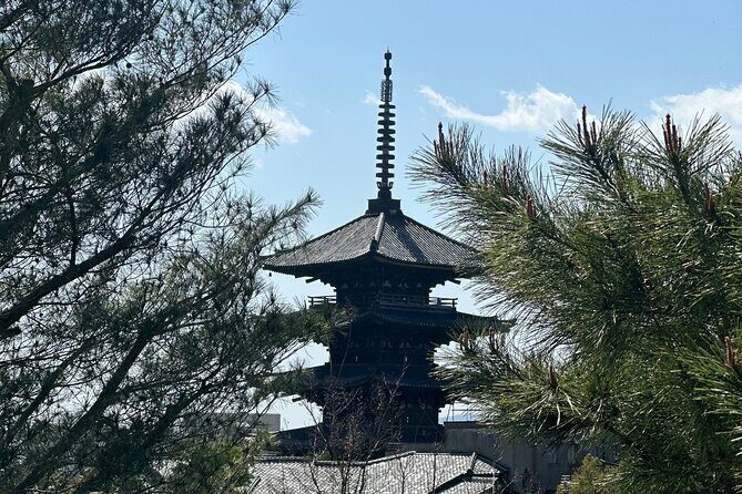 Kyoto Private Customizable Day Trip With English chauffeur - An In-Depth Look at the Kyoto Private Day Trip
