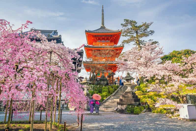 Kyoto: Private Customizable Guided Tour With Luxury Vehicle - Key Points