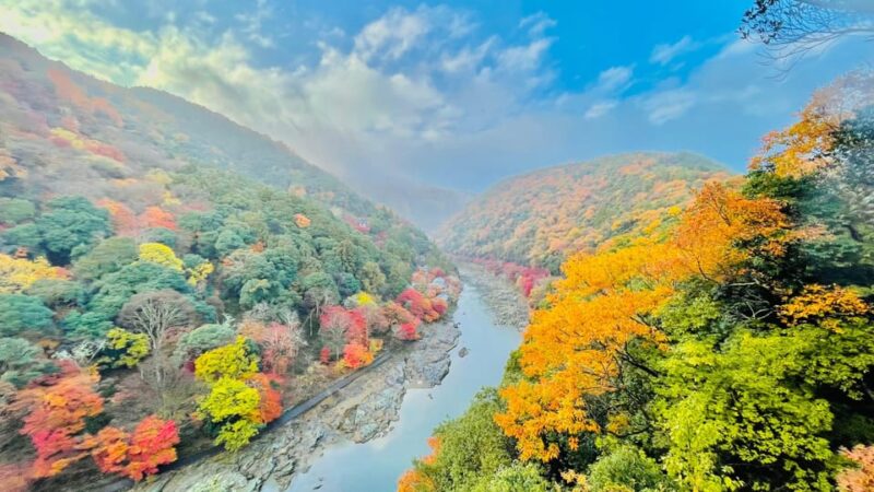 Kyoto: Private Customizable Guided Tour With Luxury Vehicle - Booking Information