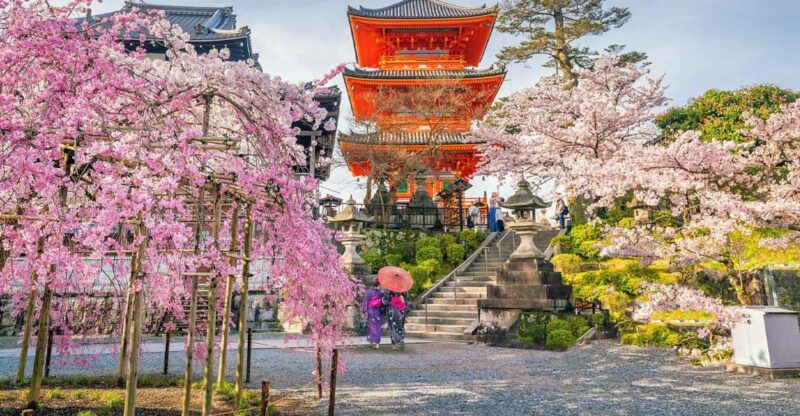 Kyoto: Private Customizable Guided Tour With Luxury Vehicle - Itinerary Highlights