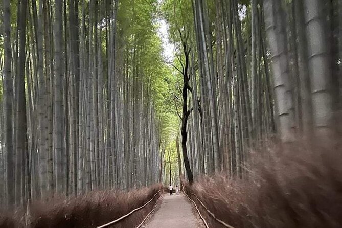 Kyoto Private Customizable Sightseeing Tour by Car-Up to 8 People - Tour Logistics