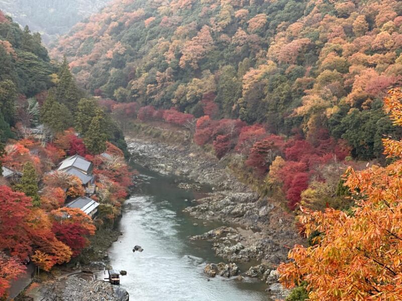 Kyoto Private Customizable Tour With Guide & Luxury Vehicle - Inclusions