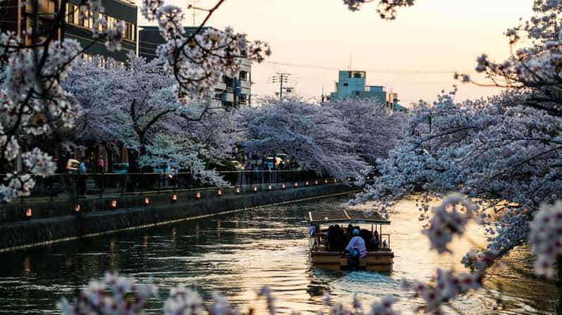 Kyoto: Private English Guided Customized Tour (Hotel Pickup) - Private Vehicle and Amenities