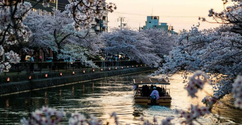 Kyoto: Private English Guided Customized Tour (Hotel Pickup) - Knowledgeable English-Speaking Guide
